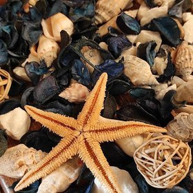 Potpourri Naturschalen, Seesterne, getrocknete Pflanzen