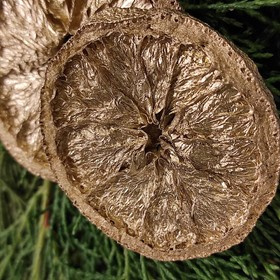 Orangen in Scheiben,  12 Stücke