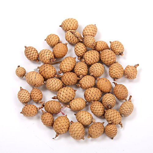Potpourri - Canelle Frucht (30g) Naturfarbe