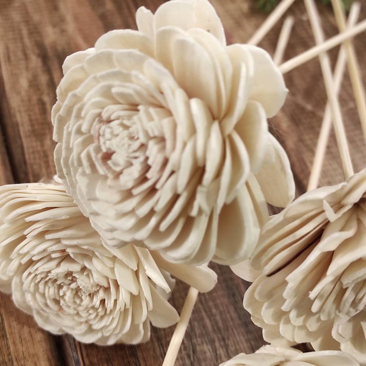 Getrocknete Blumen auf dem Schirm weiß 6 Stück / Packung. - Weiss