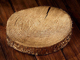 Extra große Holzscheibe, D12-15 cm, 2-3 cm dick, golden