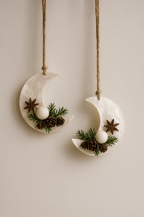 Muscheln (Perlmutt) 7-11 cm ca. 12 Stck 100 g