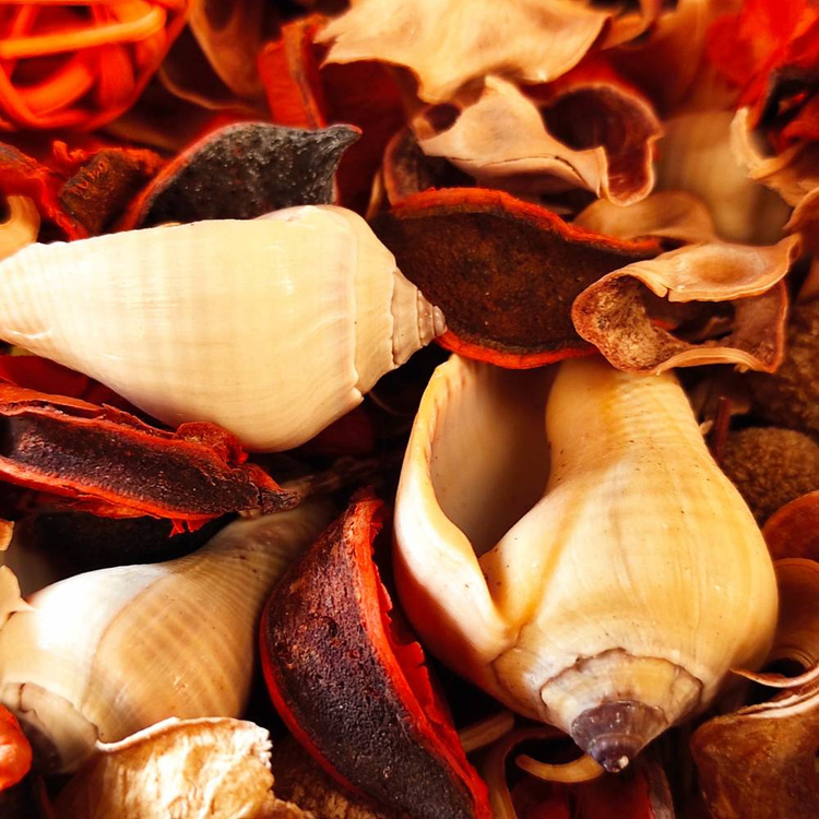 Potpourri Sommer 3 