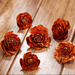 Cedar Wood Roses 6 pcs./pack Orange