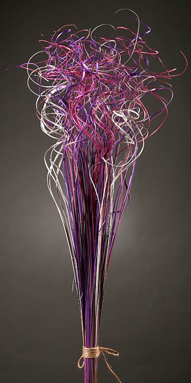 Lockige Graspflanzen, Bündel, weiß-rosa-lila, 40 cm hoch