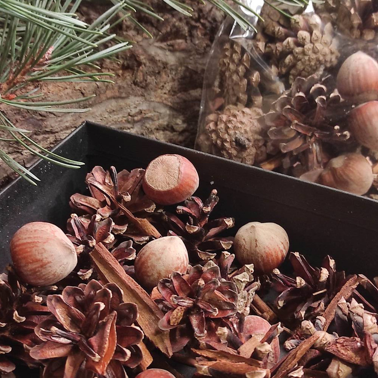 Aromatischer Zimt 2,5 cm - 100 g, ca. 50 Stücke