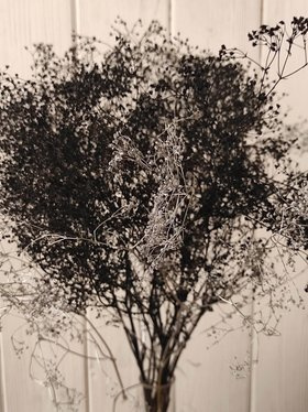 Gypsophila Silber und Schwarz in einem Haufen