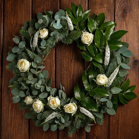 Holly- 3 branches ca.25-30cm living plant