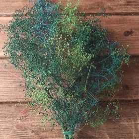 Gypsophila weißer Haufen