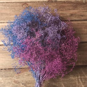 Gypsophila weißer Haufen