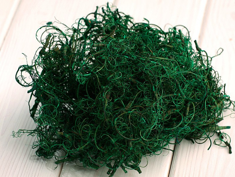 Zielone korzonki dekoracyjne 0,5 l – GrandDeco