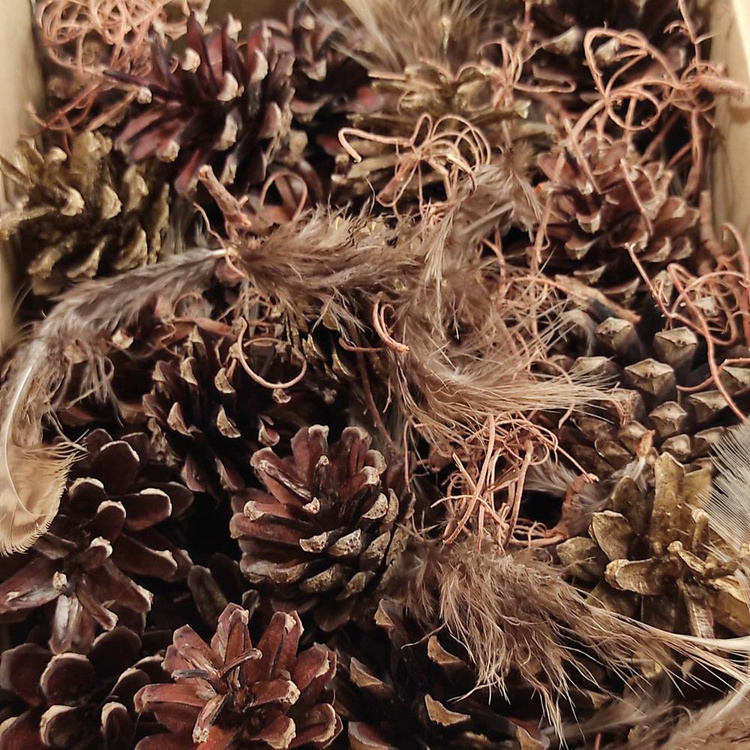 Natural nest, richly equipped, 10-12 cm 