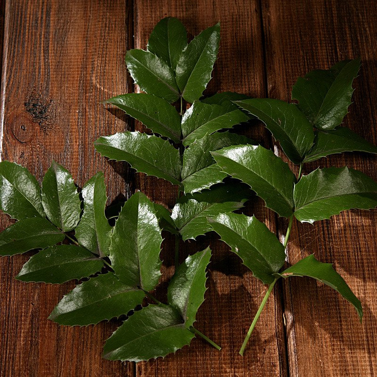 Holly- 3 branches ca.25-30cm living plant