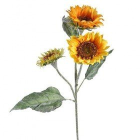 Sonnenblume drei Blüten 90 cm