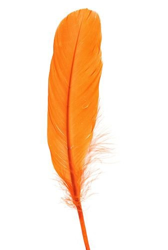 Federn 19 cm 10 Stck - orange