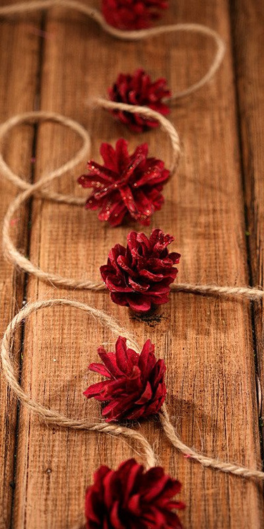 Mountain pine cone, 12 pcs/pkg red