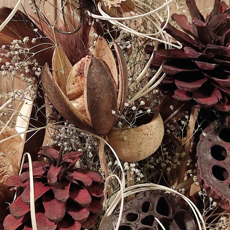 Strauß getrockneter Pflanzen 40-50 cm 