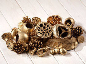 Gold set of dried plants 