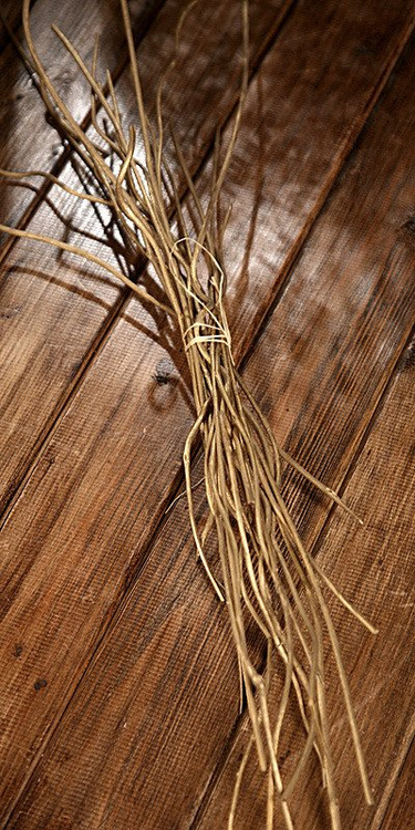 Curly sticks, 30 pcs/pkg, 30-40 cm, gold