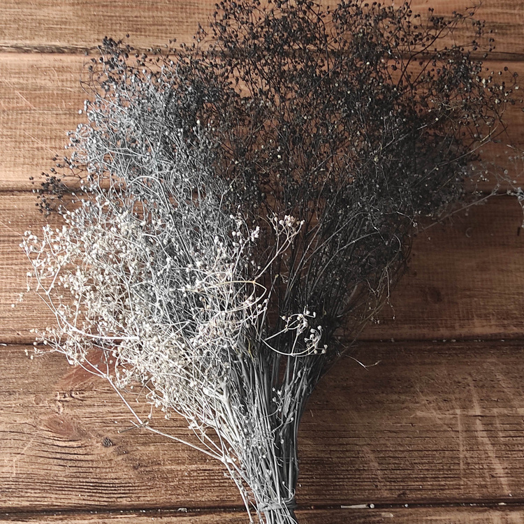 Gypsophila weißer Haufen