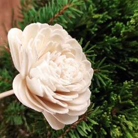 Getrocknete Blumen auf dem Schirm weiß 6 Stück / Packung. - Weiss