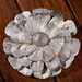 Protea Blume silbern 15 cm