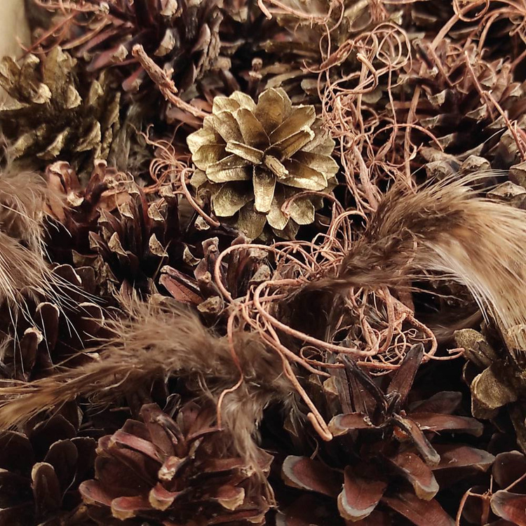 Natural nest, richly equipped, 10-12 cm 