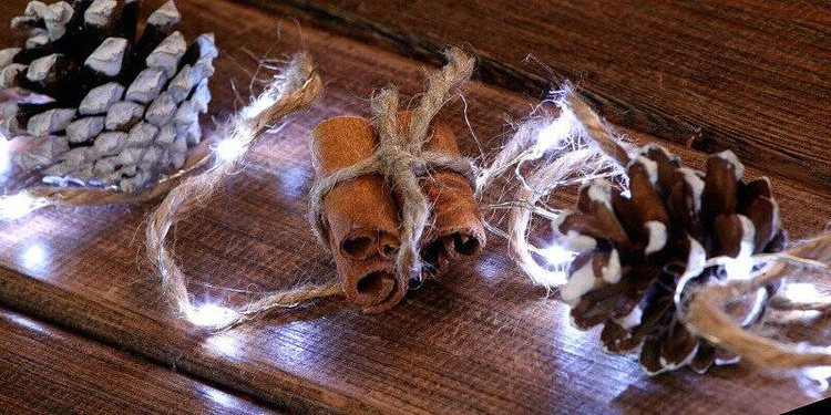 Aromatic cinnamon 2,5 cm - 100 g, ca. 50 pcs