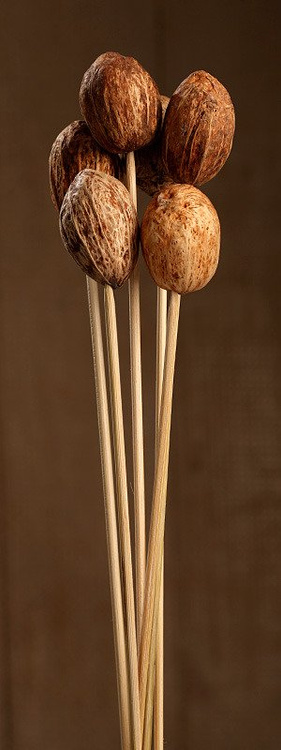 Naturalne orzechy Amra na pikach – zestaw 6 szt.