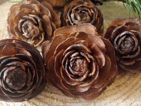 Cedar Wood Roses 6 pcs/pkg
