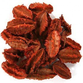 Potpourri - Khej Schalen 30 g - orange ca. 0.5 l