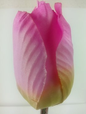 Tulipan główki 8 cm 6 szt różowy