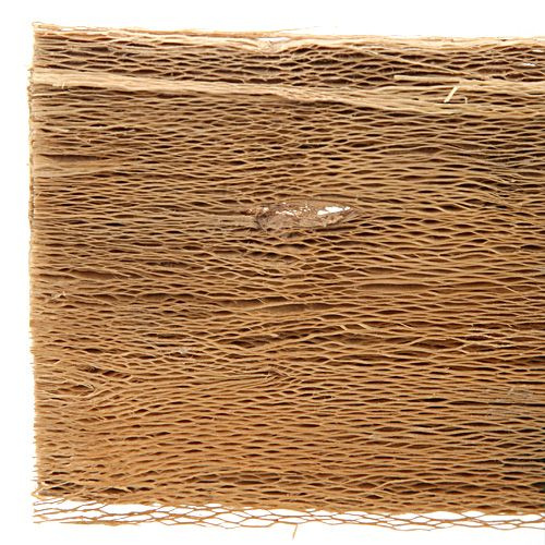 Papaya Baumrinde, Scheiben 28 x 10 cm, 250g