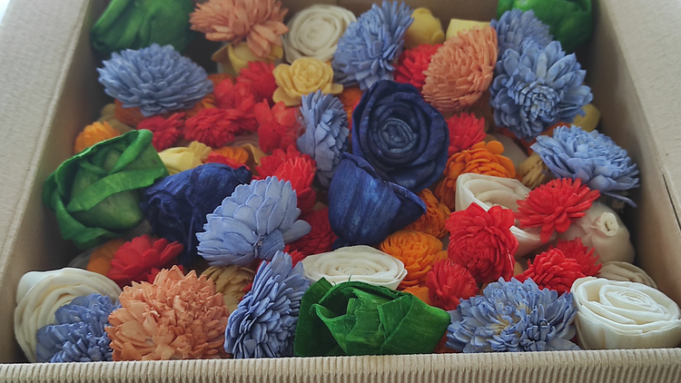 Kwiaty Shola 240 szt  Mix 10 kolorów | Dekoracyjne pudełko 20x20x10 cm 