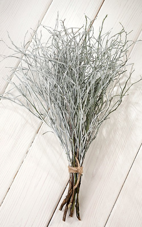 Zweige von Heidelbeeren, Bündel aus 8-10 Zweigen, Länge ca. 30 cm, weiß