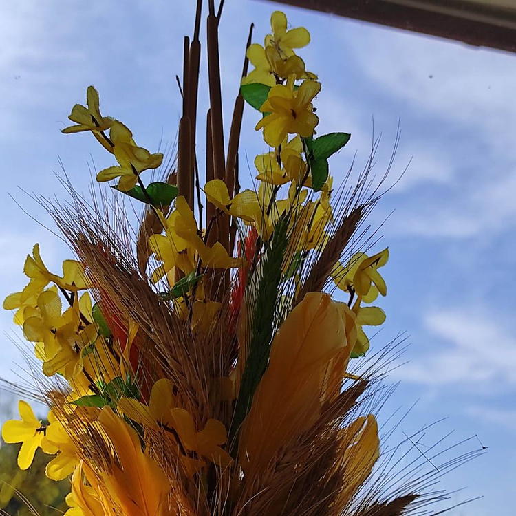 Strauß getrockneter Pflanzen 40-50 cm 