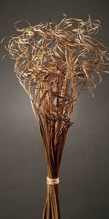 Curly grass, bunch, gold