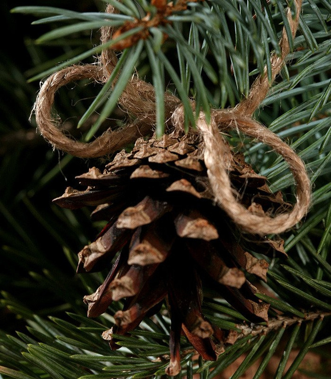 Set von 6 handgemachten Zapfen-Gehängen