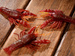 Crayfish