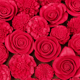 Dried salt flowers 45-50 pcs / pack - Red