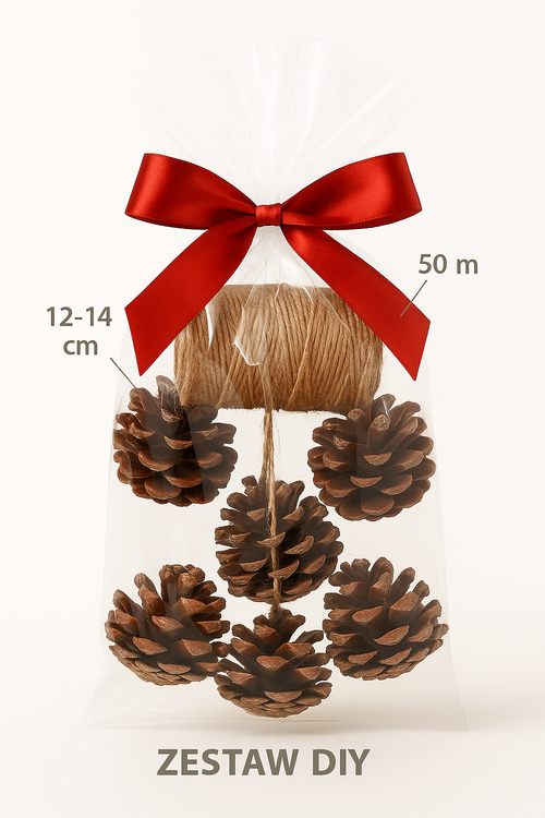  Pinus pinea Kegel 6-8 cm