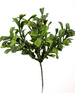 Blaubeere 23 cm