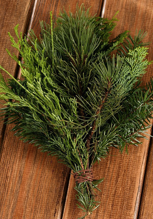 Naturalne gałązki iglaste GrandDeco 20–25 cm – zieleń do dekoracji, stroików, bukietów i wieńców