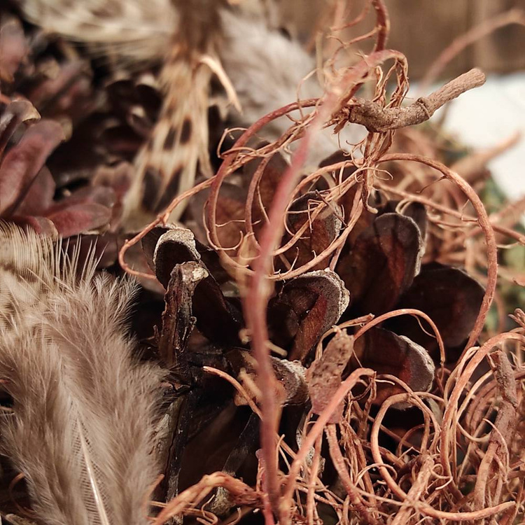 Natürliches Nest, reich ausgestattet, 10-12 cm 