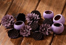 Purple set of dried plants