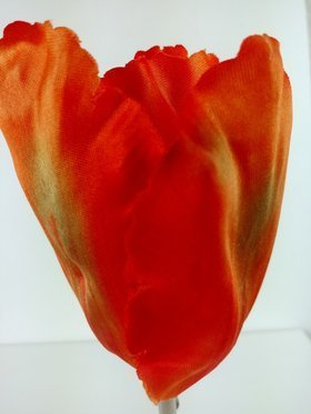 Tulpenköpfe 8 cm, 6 Stück, orange
