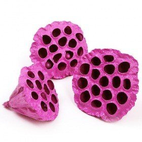 Lotus dyed diameter 6-8 cm 6 pcs/pkg purple