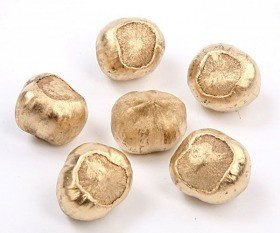 Dekorative Haselnuss 18 Stck - golden