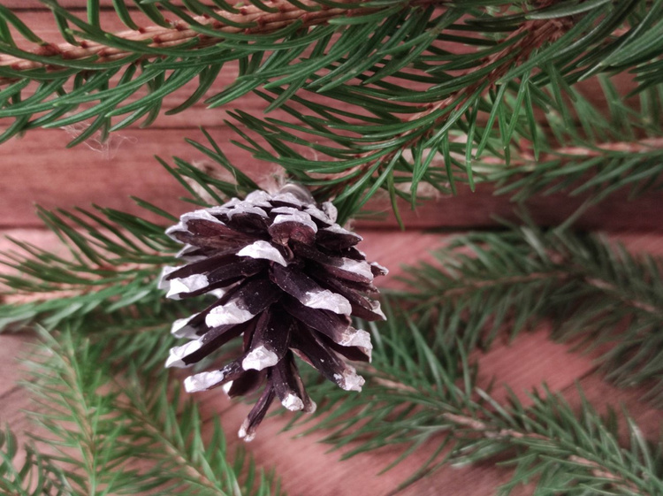 Zawieszki świąteczne – szyszki sosny bielone, komplet 6 szt. | Kolekcja GrandDeco