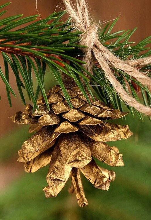 Pine cone, golden 12 pcs/ pkg